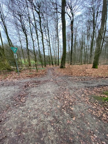 Baumberge und Hoheberg