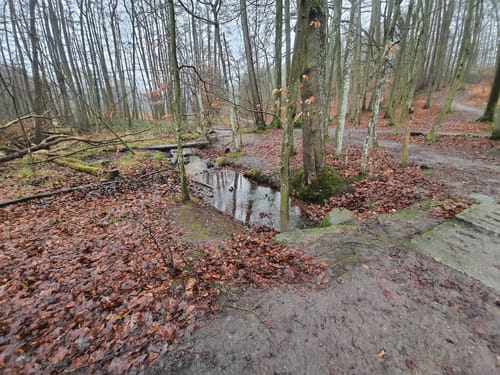 Hütter Wohld und Naturschutzgebiet Hütter Klosterteiche