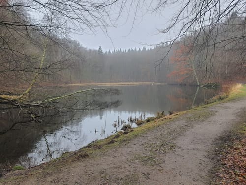 Hütter Wohld und Naturschutzgebiet Hütter Klosterteiche