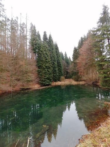 Lantenbach Rundweg A4