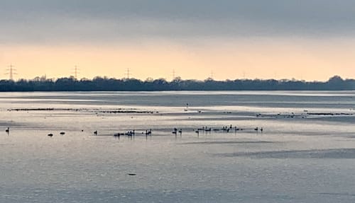 Neufinsing - Speichersee