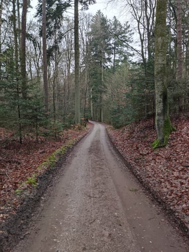 Müritz-Nationalpark und UNESCO Weltnaturerbe Serrahner Buchenwälder