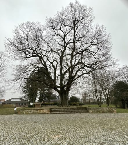 Rundweg ab Altenberge