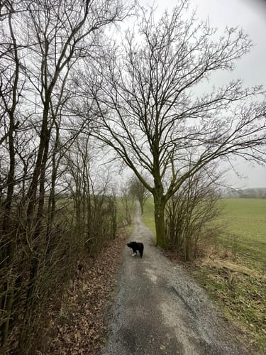 Rundweg ab Altenberge