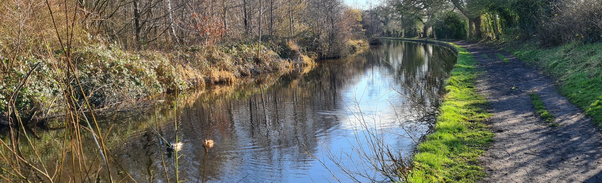 Llangollen Canal, Whitcurch, and Marbury Loop 105 foto Shropshire