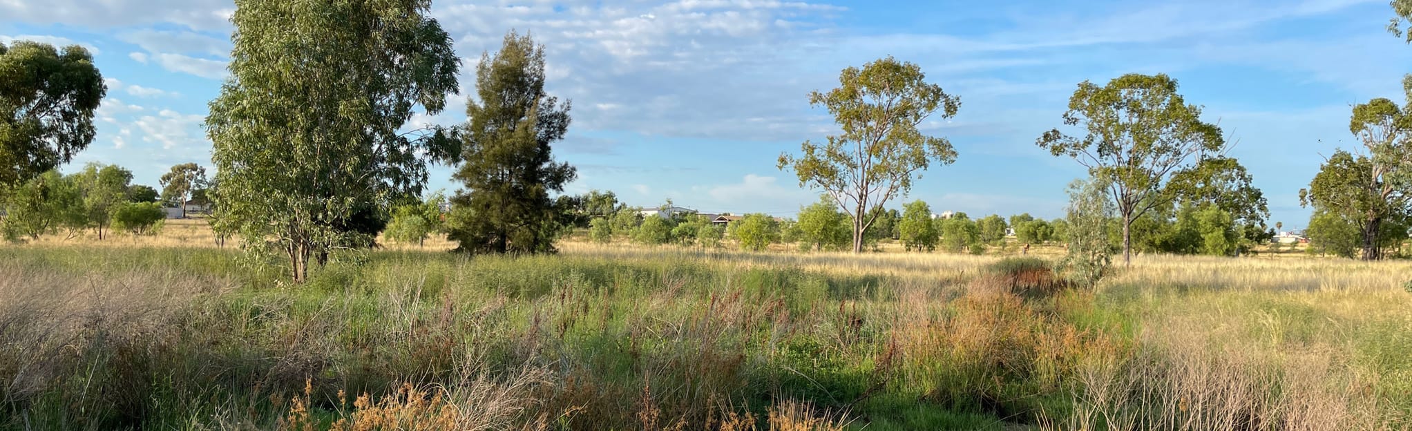 Roma Bush Gardens Loop, Queensland, Australia - 11 Reviews, Map | AllTrails