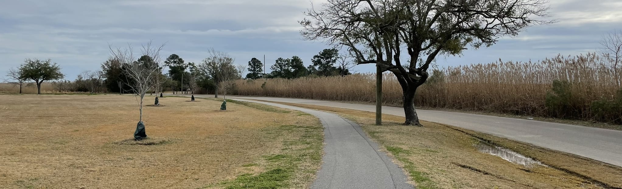 East Bay Park Walking Trail 14 Reviews, Map South Carolina AllTrails