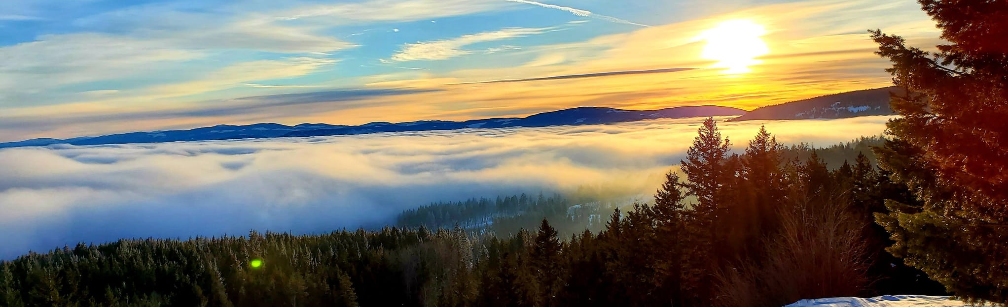 Crystal Mountain Snowshoe Loop, British Columbia, Canada 36 Reviews