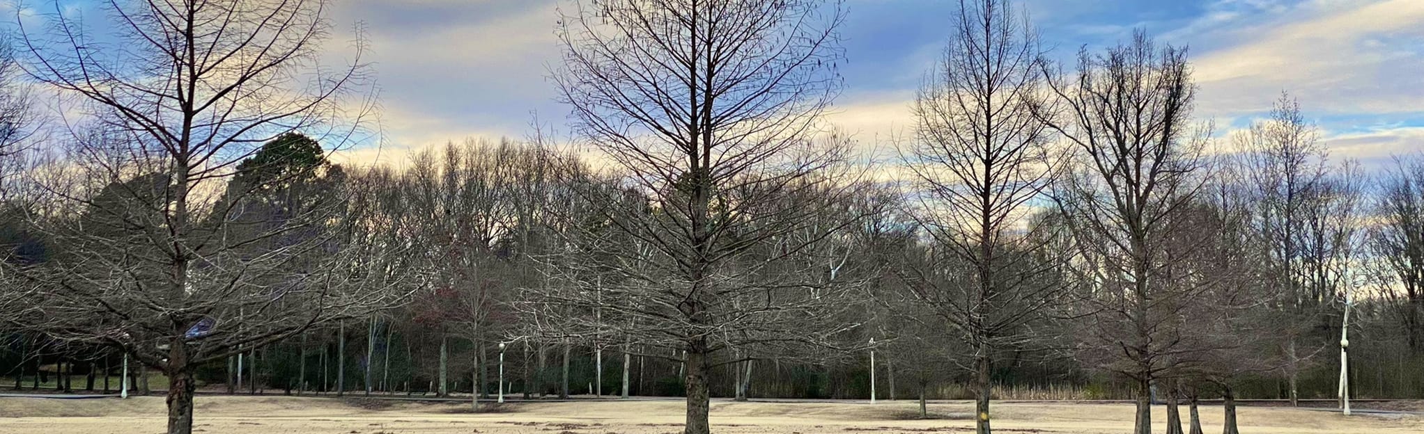 Quail Ridge Park Loop 14 Reviews, Map Tennessee AllTrails