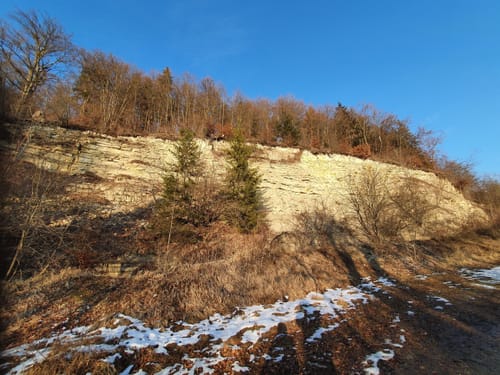 Möhringen - Ruine Konzenberg Runde
