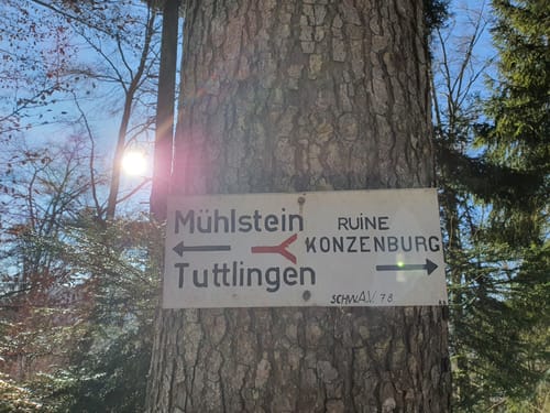 Möhringen - Ruine Konzenberg Runde