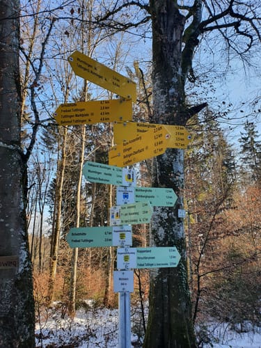 Möhringen - Ruine Konzenberg Runde