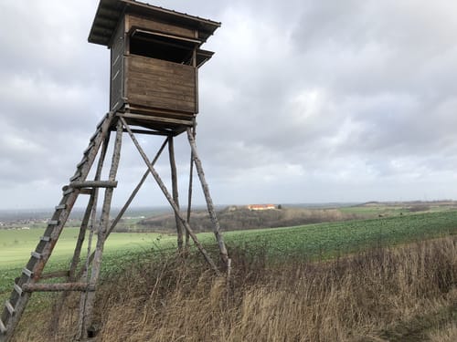 Friedrichshohenberg und Burgberg ab Ermsleben