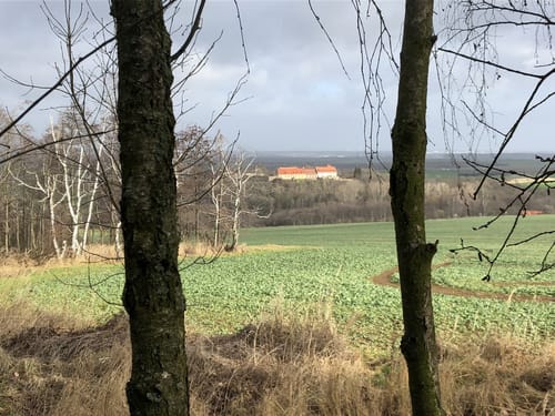 Friedrichshohenberg und Burgberg ab Ermsleben