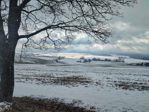 Alpenpanorama auf dem Witthoh