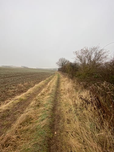 Orbis - Steinbühl/Schäfergraben - Sießl am Ambach