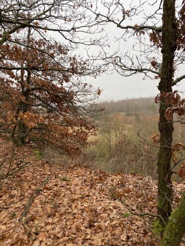 Orbis - Steinbühl/Schäfergraben - Sießl am Ambach