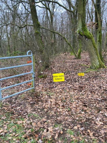 Orbis - Steinbühl/Schäfergraben - Sießl am Ambach