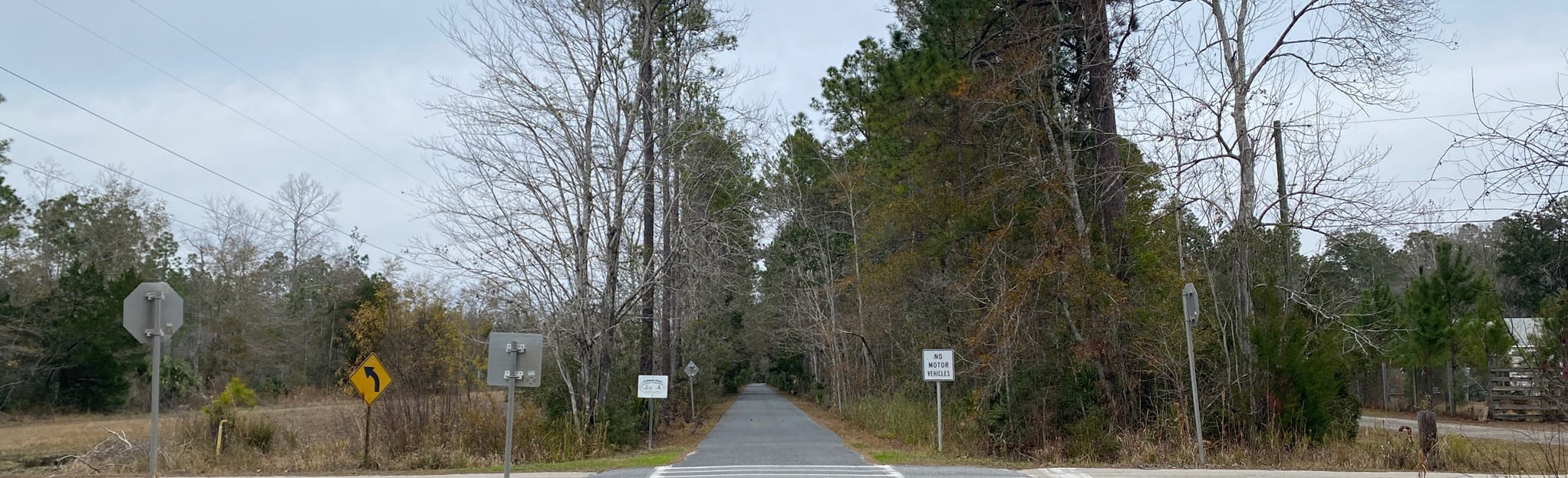 Tallahassee St Marks Historic - EyJidWNrZXQiOiJhc3NldHMuYWxsdHJhaWxzLmNvbSIsImtleSI6InVwbG9hZHMvcGhvdG8vaW1hZ2UvNDQxMjc1MTMvYTRhZjU0OTY2NjdiOTlkOGRhYWNlODk0ODE2ZDMyZmYuanBnIiwiZWRpdHMiOnsidG9Gb3JtYXQiOiJqcGVnIiwicmVzaXplIjp7IndpZHRoIjoyMDQ0LCJoZWlnaHQiOjYyNCwiZml0IjoiY292ZXIifSwicm90YXRlIjpudWxsLCJqcGVnIjp7InRyZWxsaXNRdWFudGlzYXRpb24iOnRydWUsIm92ZXJzaG9vdERlcmluZ2luZyI6dHJ1ZSwib3B0aW1pc2VTY2FucyI6dHJ1ZSwicXVhbnRpc2F0aW9uVGFibGUiOjN9fX0=