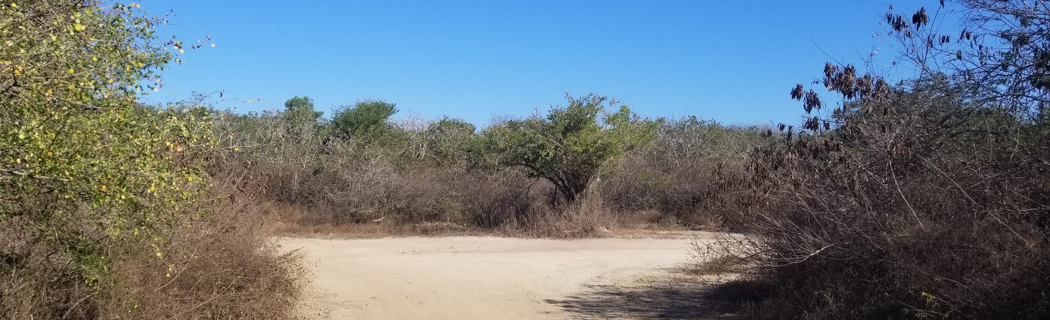 Troncones Playa la Saladita, Guerrero, Mexico 3 Reviews, Map