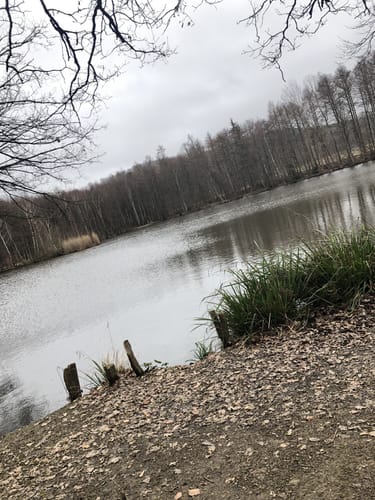 Wanderweg 21 Langerwehe