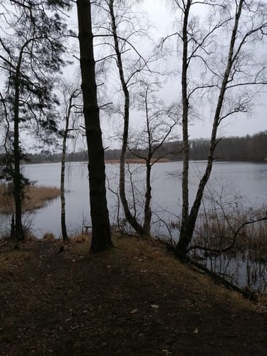 Rund um das Naturschutzgebiet Bagower Bruch