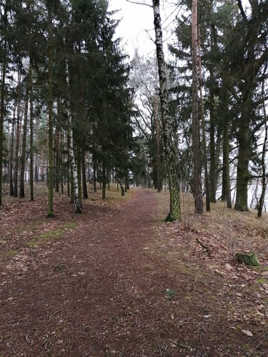 Rund um das Naturschutzgebiet Bagower Bruch