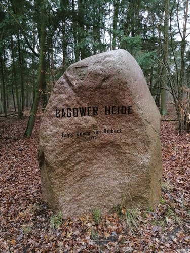 Rund um das Naturschutzgebiet Bagower Bruch