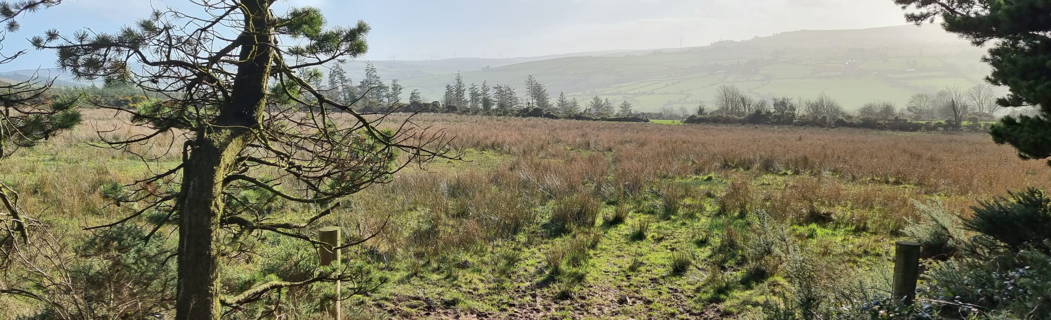 Banteer and Mount Hillary Loop, County Cork, Ireland 85 Reviews, Map