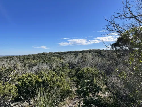 2021 Wildflower Guide — Friends Of Government Canyon