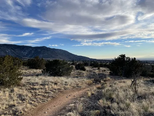10 Best Hikes and Trails in Elena Gallegos Picnic Area/Albert G. Simms ...
