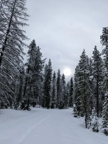 Best Hikes and Trails in Bumping Lake Sno-Park | AllTrails