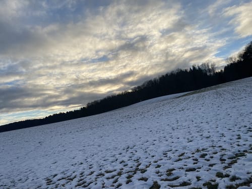 Ebersberger Seelauf (Seerunde + Waldrunde)