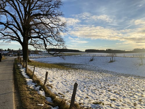 Ebersberger Seelauf (Seerunde + Waldrunde)