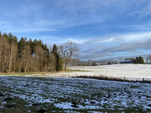 Ebersberger Seelauf (Seerunde + Waldrunde)