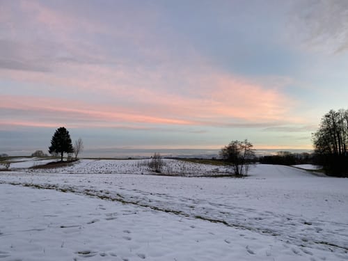 Ebersberger Seelauf (Seerunde + Waldrunde)