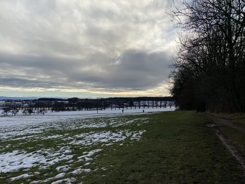 Ebersberger Seelauf (Seerunde + Waldrunde)