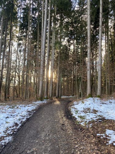 Ebersberger Seelauf (Seerunde + Waldrunde)