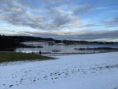 Ebersberger Seelauf (Seerunde + Waldrunde)