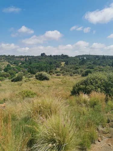 EXPLORE BLOEMFONTEIN FREE STATE SOUTH AFRICA visual data 6