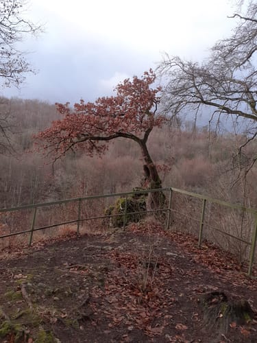 Albschäferweg Etappe 3: Anhausen - Gerstetten