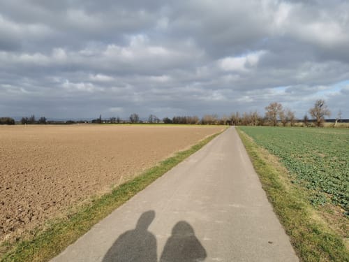 Brügelfelder Hof Rundweg