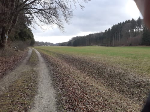 Albschäferweg Etappe 3: Anhausen - Gerstetten