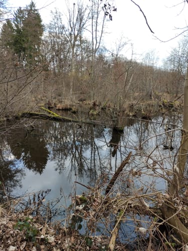 Großkrotzenburg - Bulau Runde