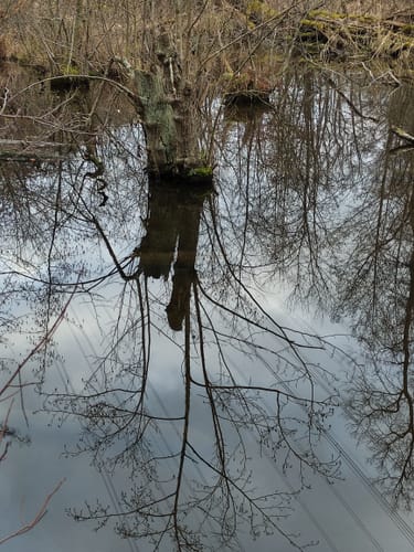 Großkrotzenburg - Bulau Runde