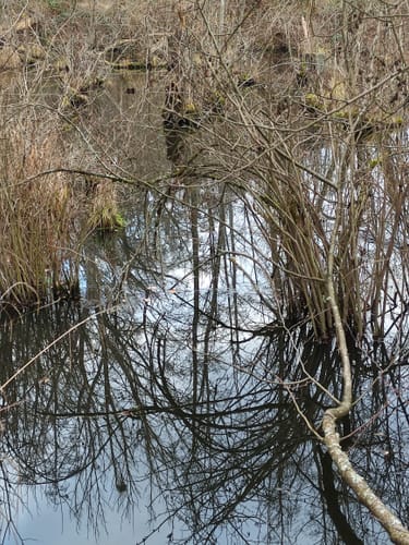 Großkrotzenburg - Bulau Runde