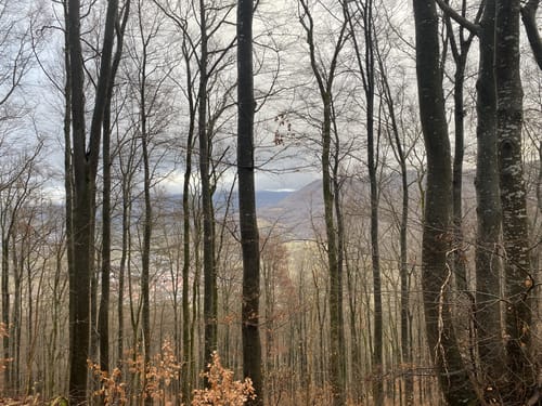 Stausee über Grasberg und Grüner Fels zu den Höllenlöchern