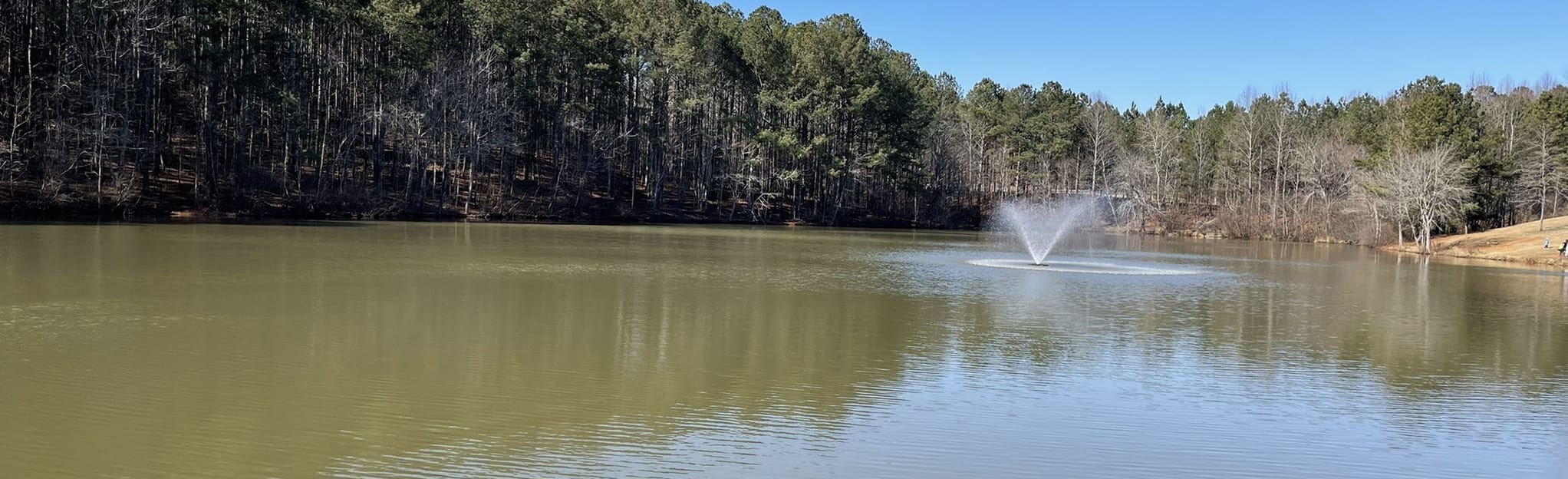 Lost Mountain Lake Loop, 236 Reviews, Map AllTrails