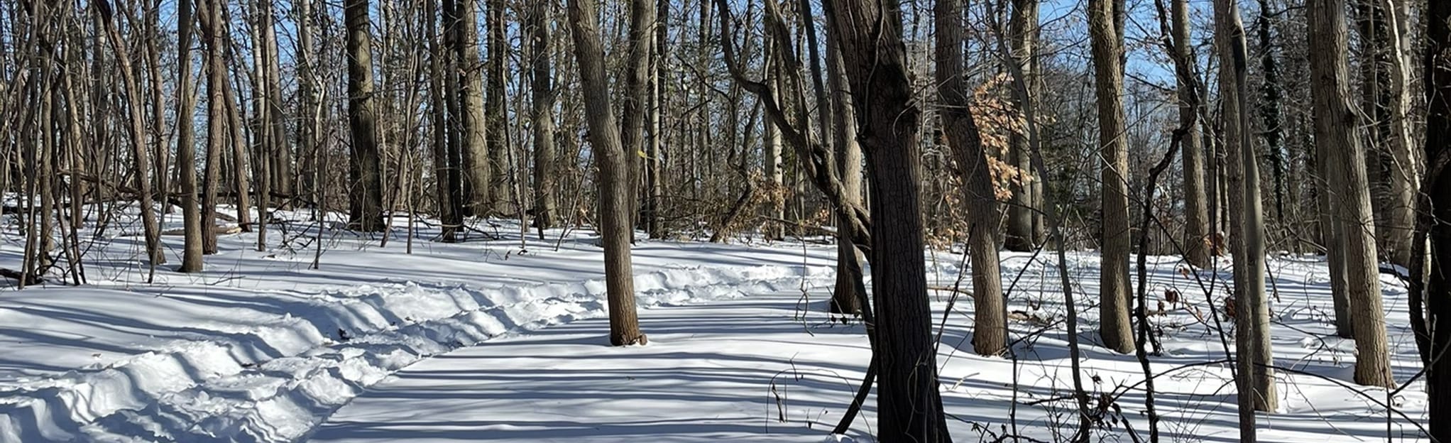 Bloomingdale Park Greenway 51 Reviews, Map New York AllTrails