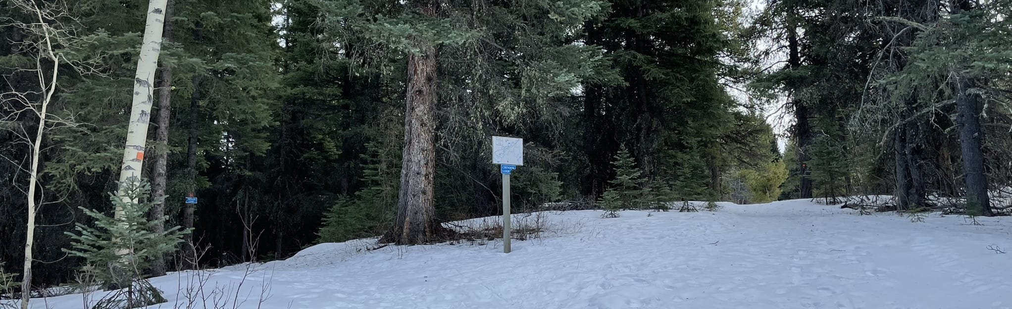 Racer's Loop, Alberta, Canada - 17 Reviews, Map | AllTrails